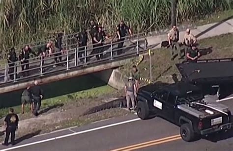 41-year-old woman found dead after Florida alligator spotted with body in its mouth