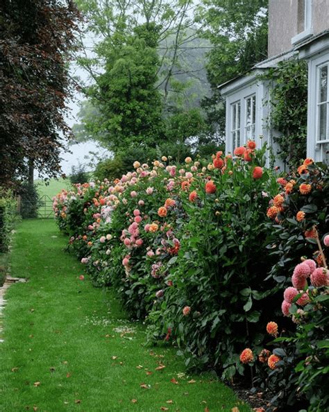 english-countryside-gardening - The Glam Pad