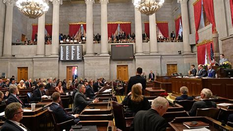 Tennessee election results: What the legislature will be like in 2021