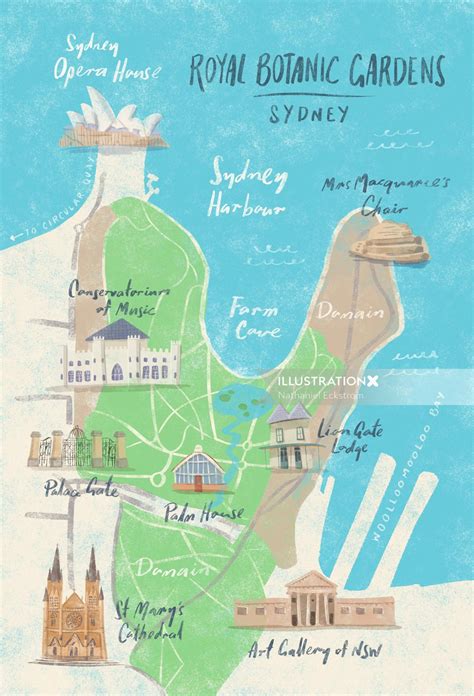 Sydney Botanic Gardens Map | Illustration by Nathaniel Eckstrom