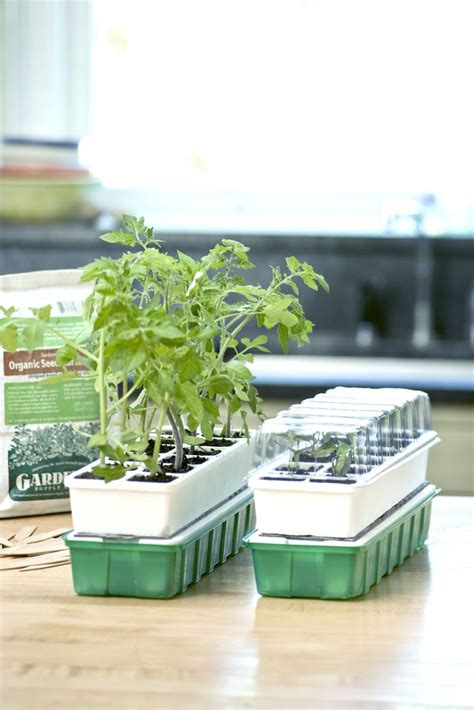 Beginner Seed Starting Kit | Seedling Kits | Gardener's Supply | Seed ...