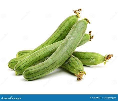 Fresh Towel gourd stock image. Image of plants, bitter - 103746221