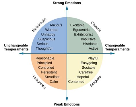 4 Types Of Temperament: Which One Do You Possess?