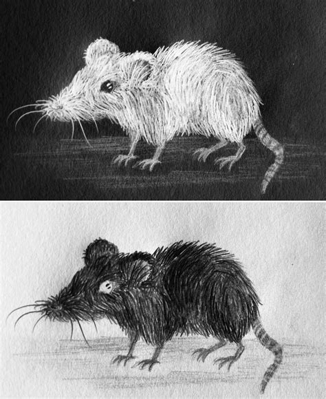 Inverted mice by Zootwoe on DeviantArt