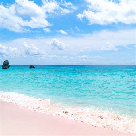 Bermuda Pink Sand Beaches | Bermuda travel, Pink sand beach, Bermuda ...