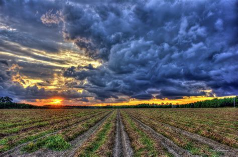 South Georgia Peanut Field Stormy Start Sunset Photograph by Reid Callaway