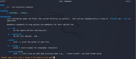 Top 20 Kali Linux Basic Commands (Updated)