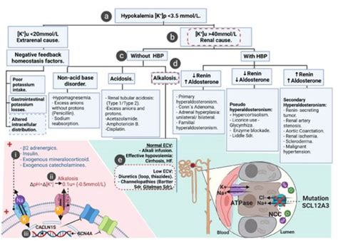 The Challenges Of Diagnosis And Management Of Gitelman