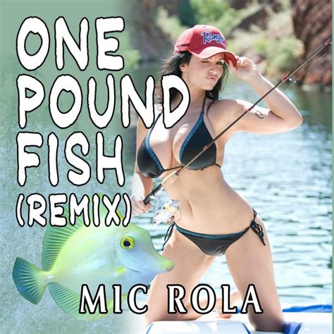 One Pound Fish - Radio Instrumental Remix - song and lyrics by Mic Rola | Spotify