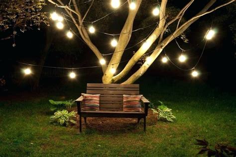 2024 Popular Hanging Lights in Outdoor Trees