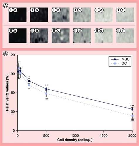 Detection of cells labeled with iron oxide-modified particles in a... | Download Scientific Diagram