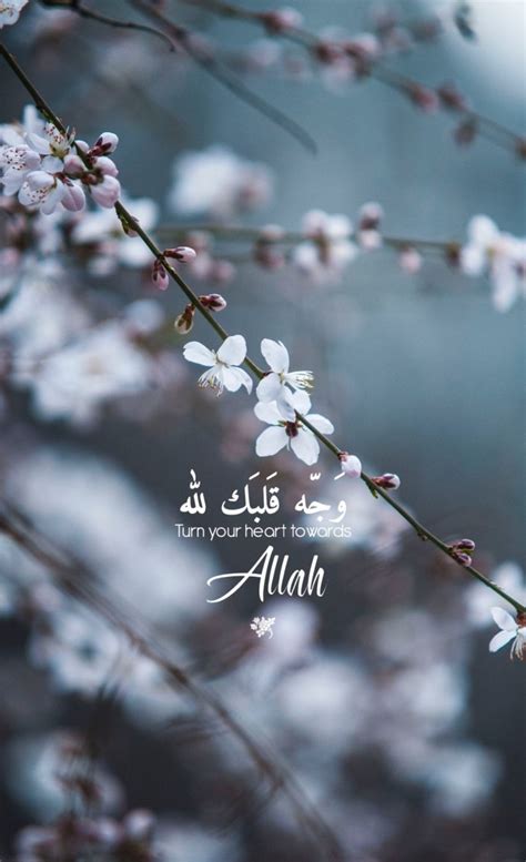 Islamic Quotes - 800x1313 Wallpaper - teahub.io