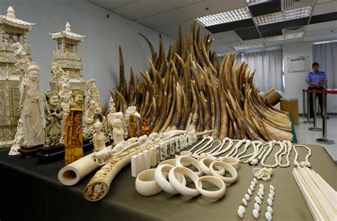 Chinese officials accused of smuggling ivory during state visit to Tanzania - The Washington Post