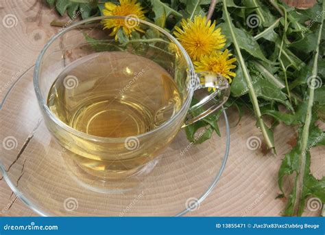 Organic Herbal Tea in a Cup Stock Image - Image of lifestyle, organic: 13855471