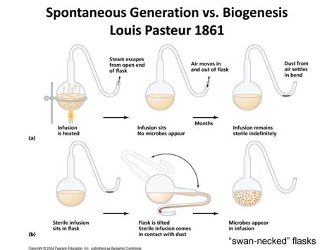 BiologyClassroom