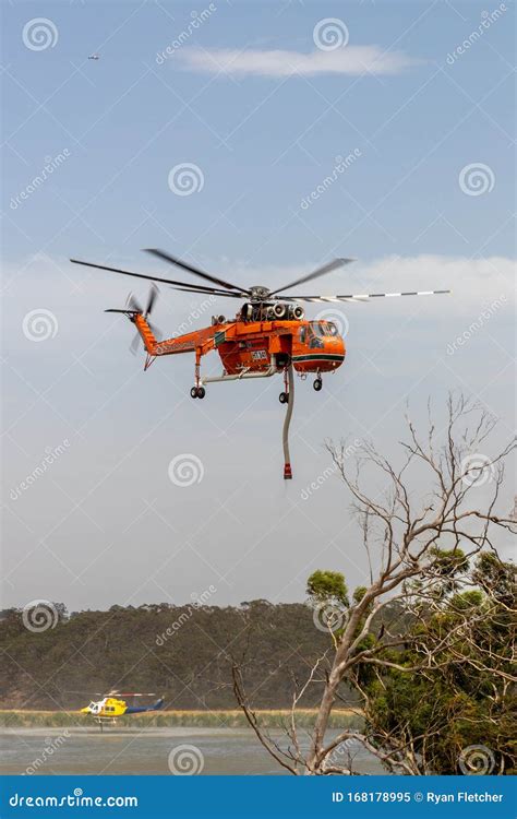 Erickson Air Crane Helicopter Taking Off after Filling with a Load of ...