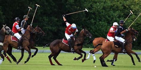 Polo – A Great Horse Game | Irish Polo Clubs