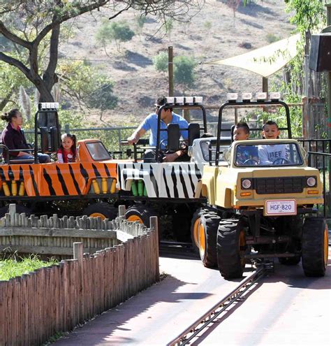 Safari Jeep Tours | Kids Ride | Six Flags Discovery Kingdom