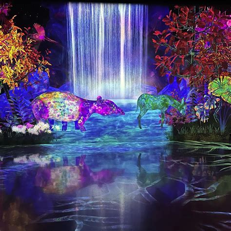 teamLab Forest Fukuoka - SBI SECURITIES Co., Ltd., Fukuoka | teamLab