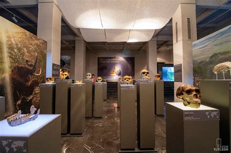 The Best Museums in Tbilisi Georgia - Your Ultimate List