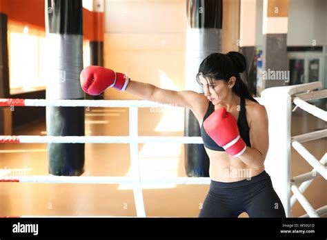 Female boxer training in gym Stock Photo - Alamy