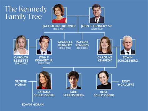 A Full Guide to the Kennedy Family Tree