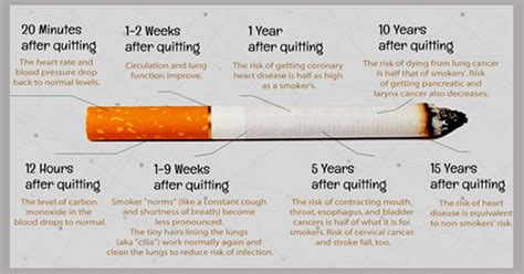 Here Is What Happens To Your Body When You Quit Smoking!