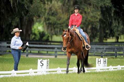 Western Dressage: Ride a Test!