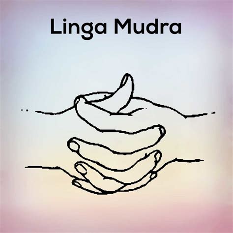 Chin Mudra and All Its Benefit, Steps Definition - nexoye