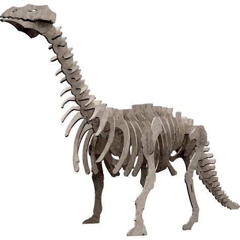 Brontosaurus Wood Model Kit - Discover Holmes County Ohio