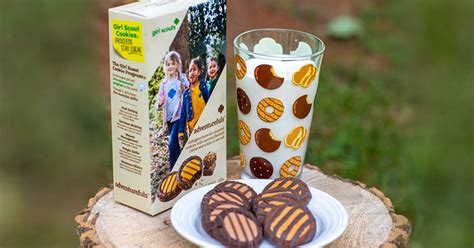 Brownie-inspired Adventurefuls cookie evokes the adventures Girl Scouts