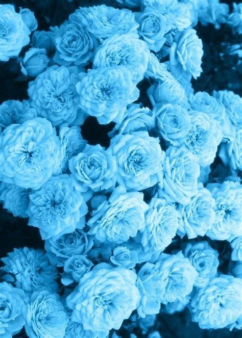 [24+] Amazing Blue Aesthetic Flowers Wallpapers