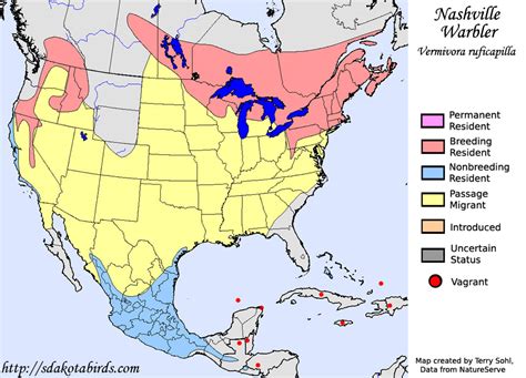 Nashville Warbler - Species Range Map