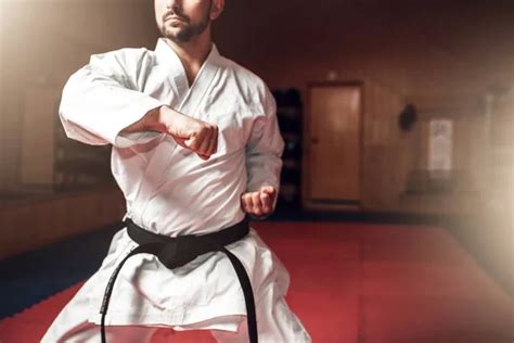 Black belt taekwondo Stock Photos, Royalty Free Black belt taekwondo Images | Depositphotos