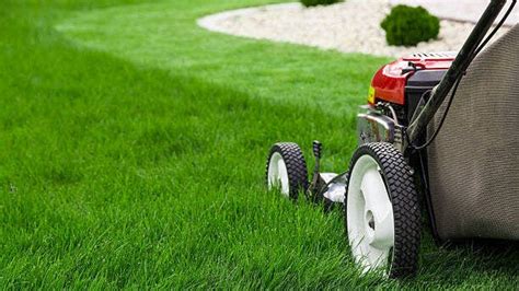 Best Lawn Care Service Companies Of 2025 – Forbes Home