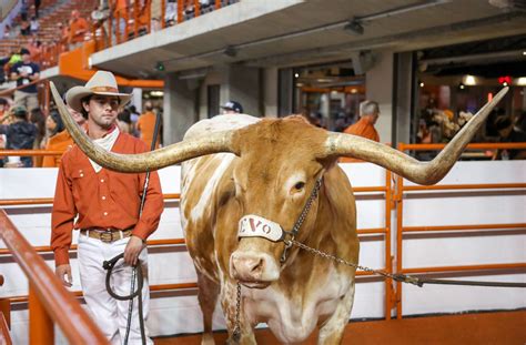 History of the Texas Longhorns Mascot