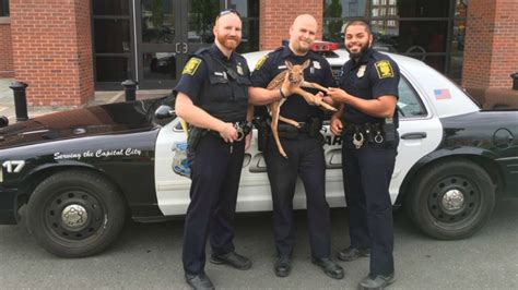 Hartford Police Help Rescue Fawn – NBC Connecticut