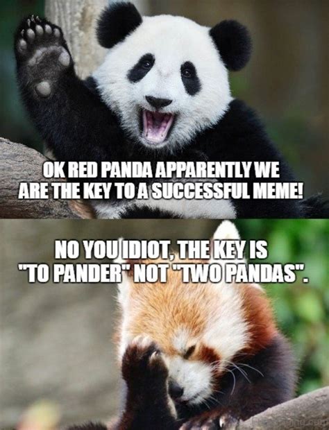 84 Stupid Panda Memes