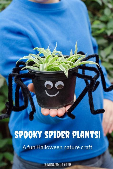 How to make your own spooky spider plants - a simple, fun nature craft ...