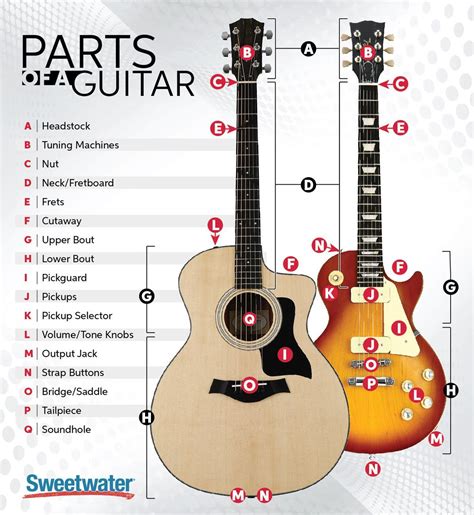 Parts of a Guitar