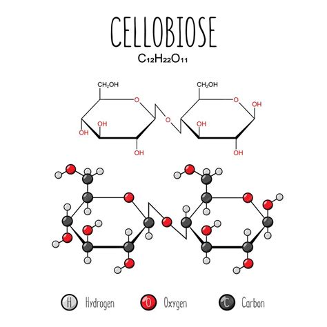 Premium Vector | Cellobiose representation Skeletal formula and 2d structure illustration Web ...