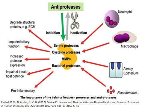 Serine Proteases Inhibitors Library