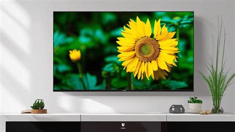 Best Wall Mount For Hisense 65 inch TV - Reviews, Buying Guide & FAQs ...