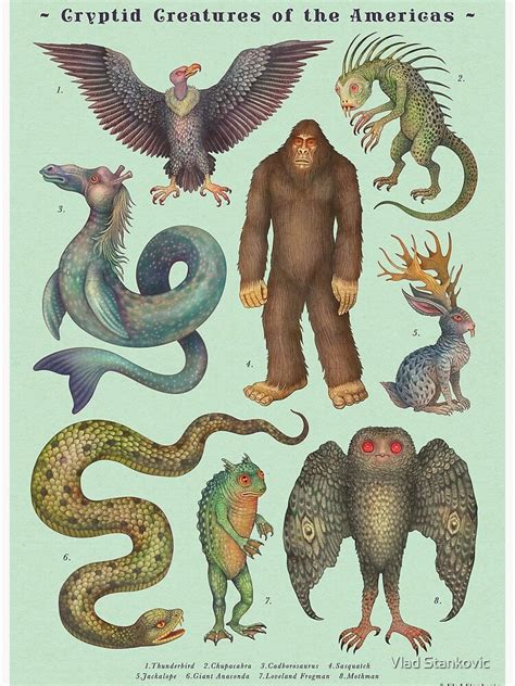 CRYPTOZOOLOGY & BOOKS - DANIEL J BENOIT