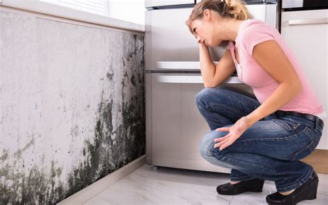 How Can You Protect Your Home from Mold? | Valley DRC