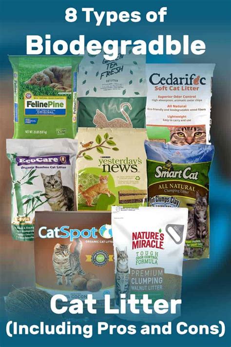 8 Types of Biodegradable Cat Litter (Including Pros and Cons)