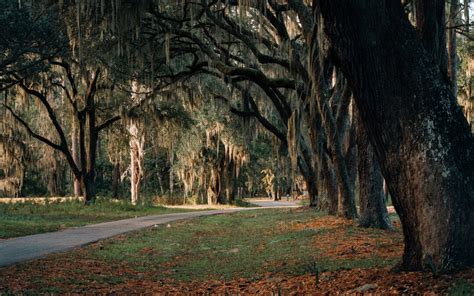 Top Things to Do in Nature While Staying at the Montage Palmetto Bluff ...