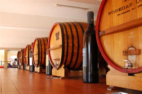 Visita a bodegas de Mendoza con degustación de vino