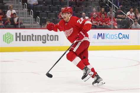 Detroit Red Wings: Prospect Lucas Raymond makes opening night roster