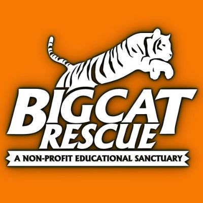 Big Cat Rescue | Share Your Share